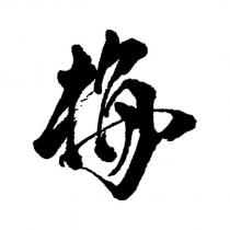 梅