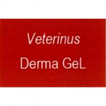 Veterinus Derma Gel