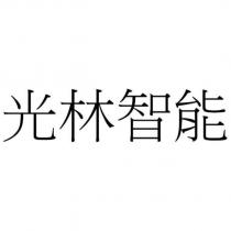 光林智能