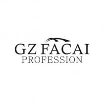 GZ FACAI PROFESSION 及圖