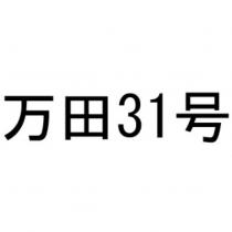 万田 31 号