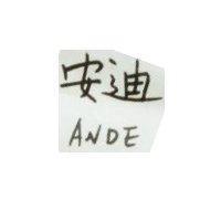 安迪 ANDE