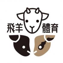飛羊體育及圖