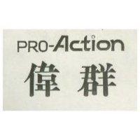 偉群 PRO ACTION 