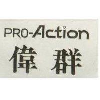 偉群 PRO ACTION 