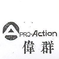 偉群 PRO ACTION 及圖 