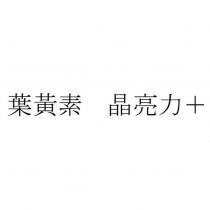 葉黃素 晶亮力+