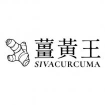 薑黃王 SIVACURCUMA 及圖