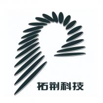 拓荊科技及圖
