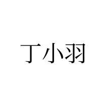 丁小羽