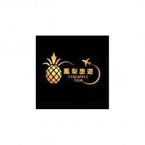 鳳梨旅遊 PINEAPPLE TOUR 及圖