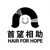 首望相助 HAIR FOR HOPE 及圖