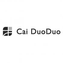 Cai DuoDuo 才設計字