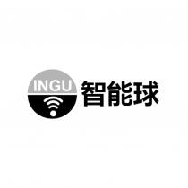 INGU 智能球及圖