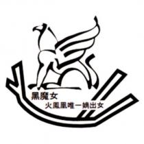 黑魔女火鳳凰唯一嫡出女及圖