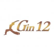Gin 12 及圖