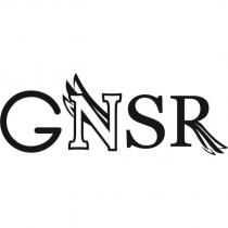GNSR 及圖