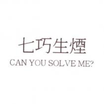 七巧生煙 CAN YOU SOLVE ME?