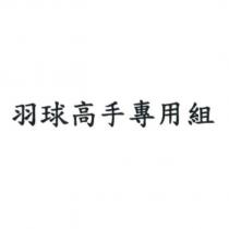 羽球高手專用組