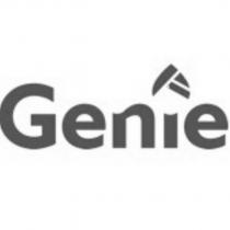 Genie 設計字