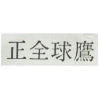 正全球鷹