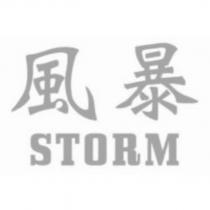 風暴 STORM