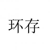 環存