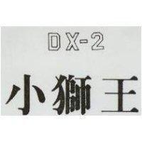 小獅王 DX 2 