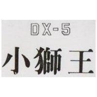 小獅王 DX 5 