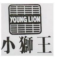 小獅王 DX 7