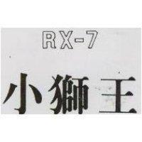 小獅王及圖 (彩色)