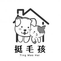 挺毛孩 Ting Mao Hai 及圖