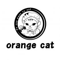 orange cat Do you want to eat 及圖