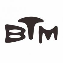 BTM 設計圖