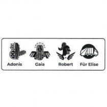 Adonis Gaia Robert Fur Elise 設計字及圖