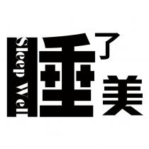 睡了美 & Sleep Well 設計字
