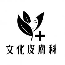 文化皮膚科及圖