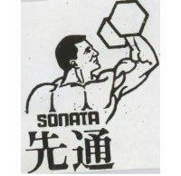 先通 SONATA 及圖 