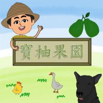 寶柚果園及圖