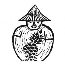 臺南市山上區農會鳳梨公仔圖