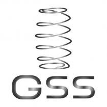 GSS 及圖