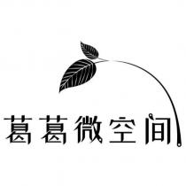 葛葛微空間及圖