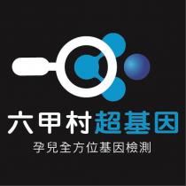 六甲村超基因及圖