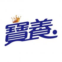 寶養設計圖
