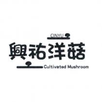 興祐洋菇 CINYU 設計圖