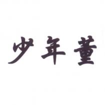 少年董