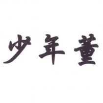 少年董