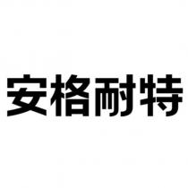 安格耐特