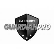 Big x Reality GUARDIANPRO 及圖