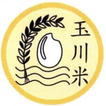玉川米及圖